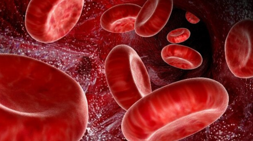 Understanding the Impact of Liver Disease on Red Blood Cells