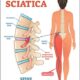 Sciatica Treatment
