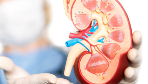 urology hospital in bangalore