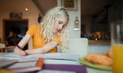 autism therapy goal setting plans